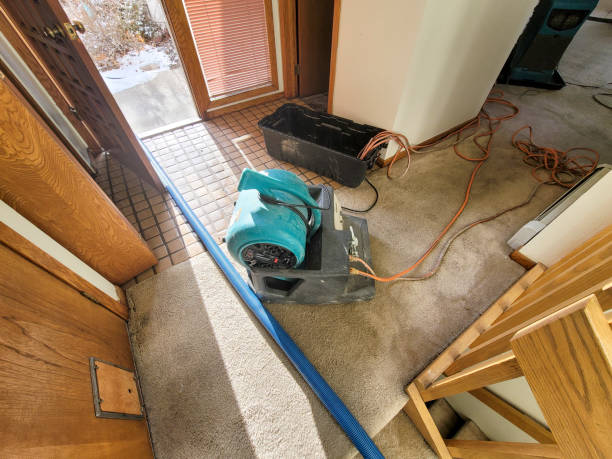 Best Flooded house restoration  in Stewartstown, PA