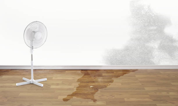 Best Sewage cleanup and water damage restoration  in Stewartstown, PA