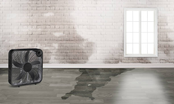 Best Professional water damage repair  in Stewartstown, PA